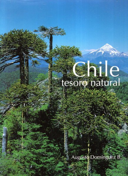 Lista Comentada De Las Aves De Chile Annotated Checklist Of The Birds Of Chile Checklists