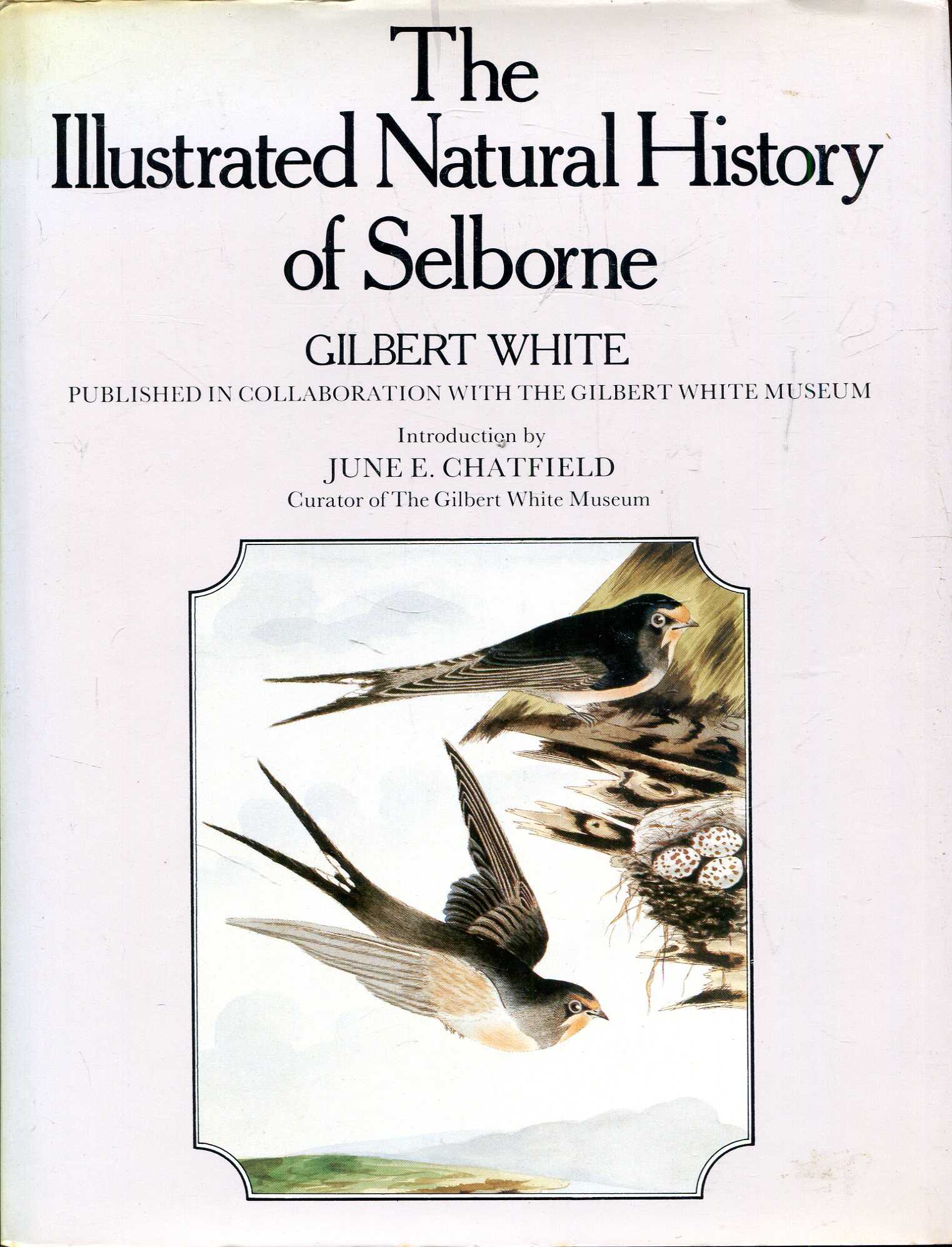 Birds of Selborne by Gilbert White